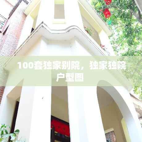 100套独家别院,独家独院户型图