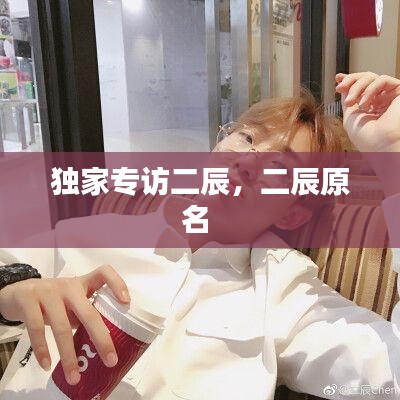 独家专访二辰,二辰原名