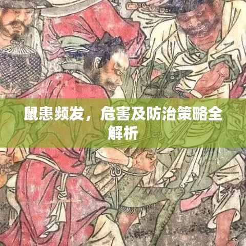 鼠患频发,危害及防治策略全解析