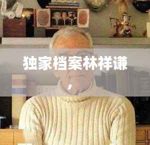 独家档案林祥谦,