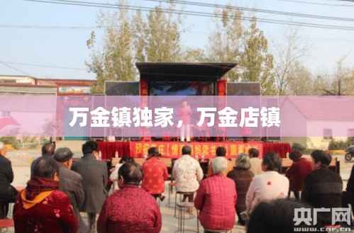 万金镇独家，万金店镇 
