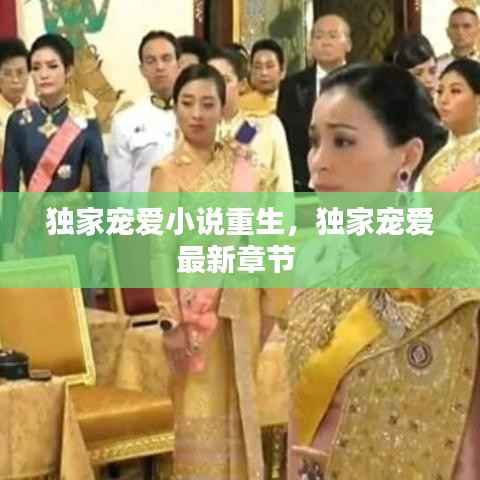 独家宠爱小说重生,独家宠爱最新章节