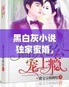 黑白灰小说独家蜜婚,作者黑白灰的小说名字