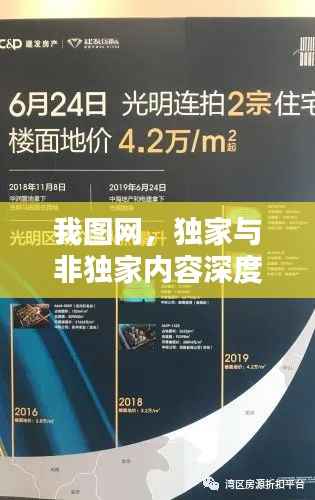 我图网,独家与非独家内容深度解析与探索