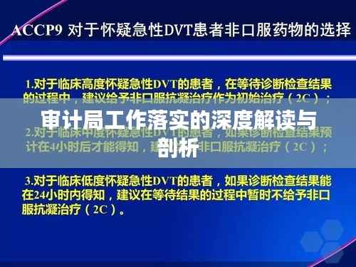 审计局工作落实的深度解读与剖析