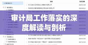 审计局工作落实的深度解读与剖析