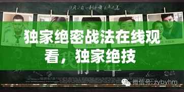 独家绝密战法在线观看,独家绝技