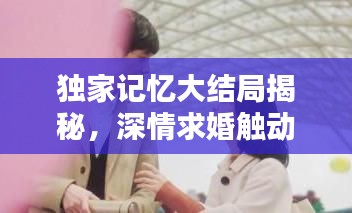 独家记忆大结局揭秘,深情求婚触动心灵!