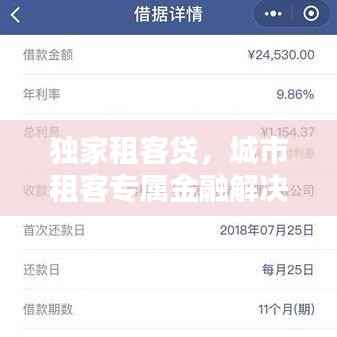 独家租客贷,城市租客专属金融解决方案!