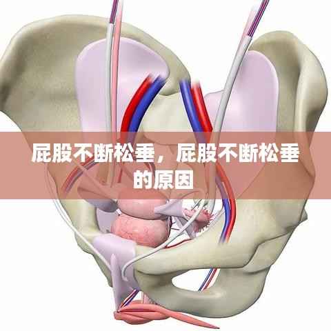 屁股不断松垂,屁股不断松垂的原因