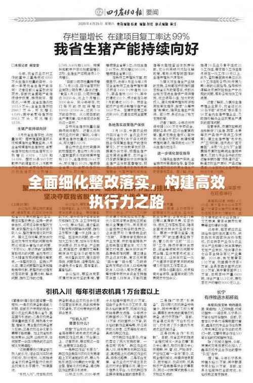 全面细化整改落实,构建高效执行力之路