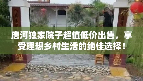 唐河独家院子超值低价出售,享受理想乡村生活的绝佳选择!