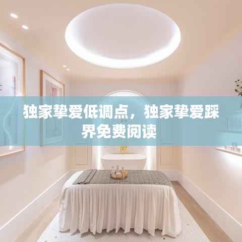 独家挚爱低调点,独家挚爱踩界免费阅读