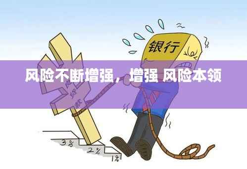风险不断增强,增强 风险本领