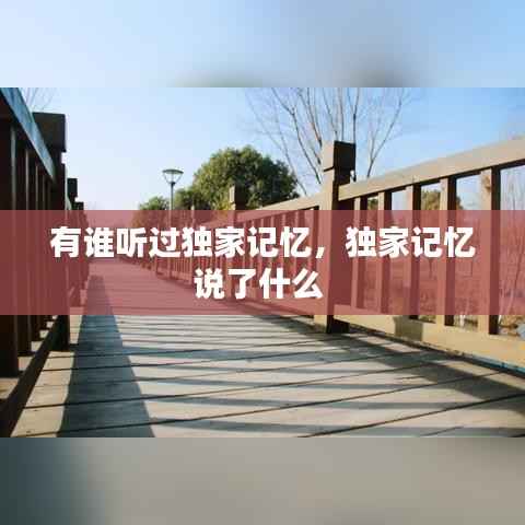 有谁听过独家记忆,独家记忆说了什么