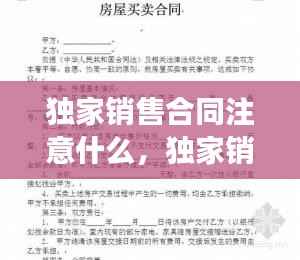 独家销售合同注意什么,独家销售协议合法吗