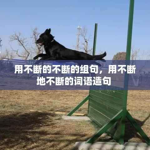 用不断的不断的组句,用不断地不断的词语造句