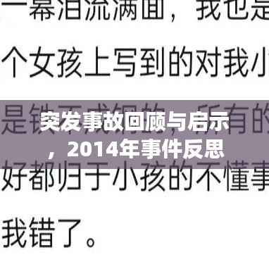 突发事故回顾与启示,2014年事件反思