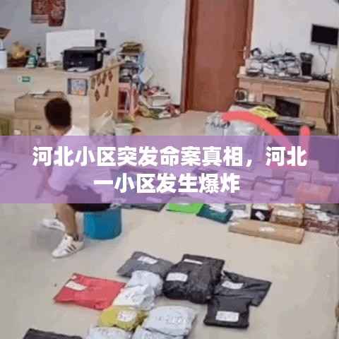 河北小区突发命案真相,河北一小区发生爆炸