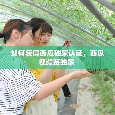 如何获得西瓜独家认证,西瓜视频签独家