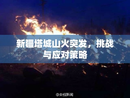 踊贵屦贱 第3页