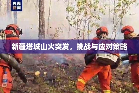 新疆塔城山火突发,挑战与应对策略