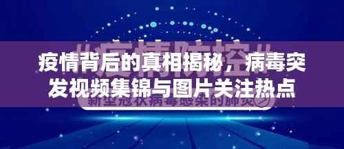 疫情背后的真相揭秘,病毒突发视频集锦与图片关注热点