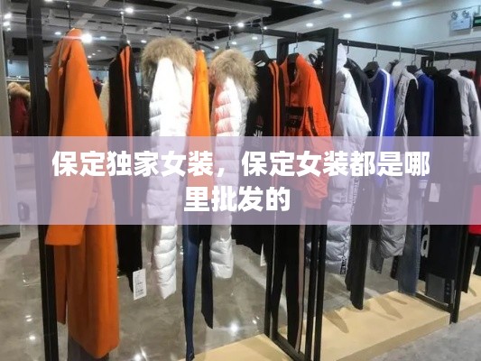 保定独家女装,保定女装都是哪里批发的