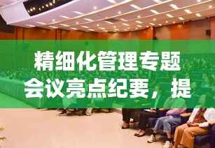 精细化管理专题会议亮点纪要,提升效率与执行力