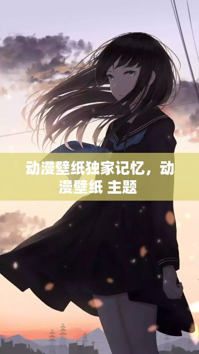 动漫壁纸独家记忆,动漫壁纸 主题