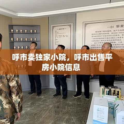 呼市卖独家小院,呼市出售平房小院信息