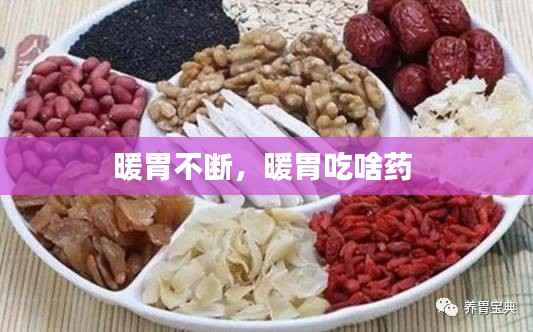 暖胃不断,暖胃吃啥药