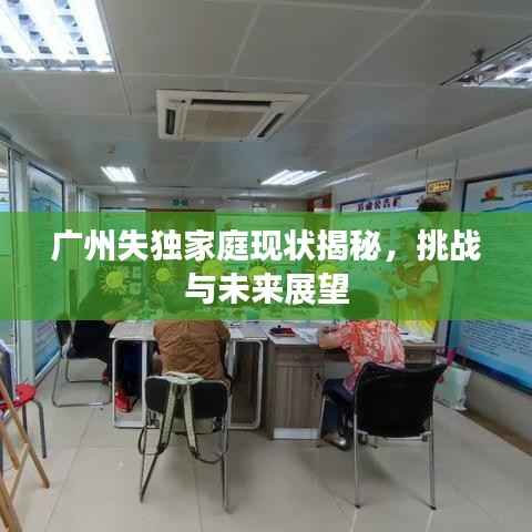 广州失独家庭现状揭秘,挑战与未来展望