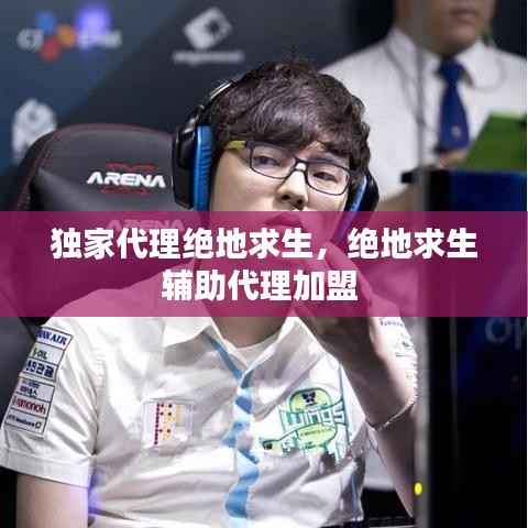 独家代理绝地求生,绝地求生辅助代理加盟