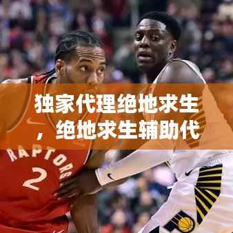 独家代理绝地求生,绝地求生辅助代理加盟