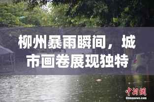 柳州暴雨瞬间,城市画卷展现独特魅力