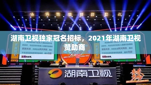 湖南卫视独家冠名招标,2021年湖南卫视赞助商