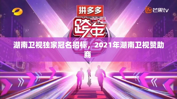 湖南卫视独家冠名招标,2021年湖南卫视赞助商