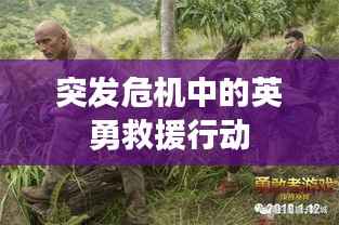 突发危机中的英勇救援行动