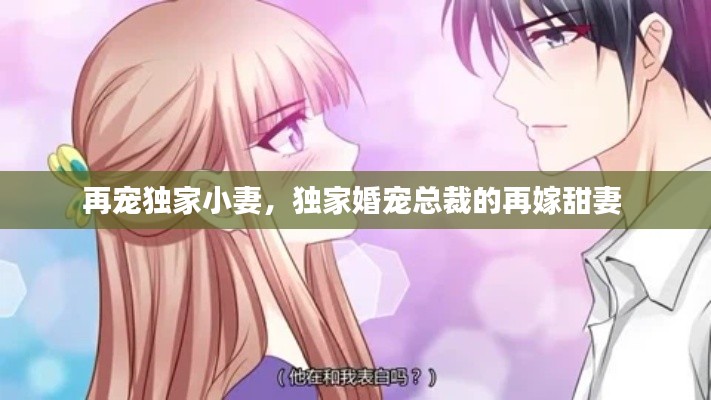 再宠独家小妻,独家婚宠总裁的再嫁甜妻