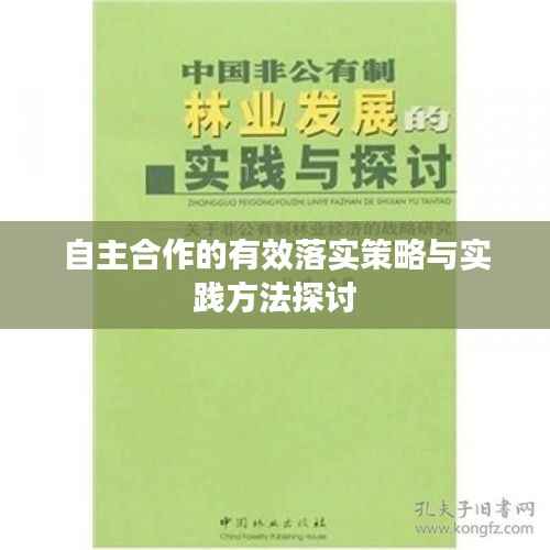 自主合作的有效落实策略与实践方法探讨