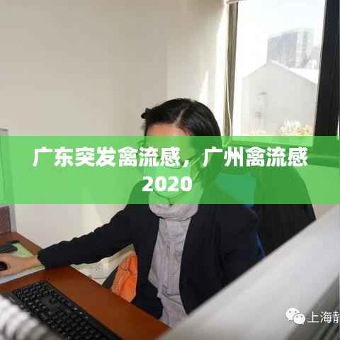 广东突发禽流感,广州禽流感2020