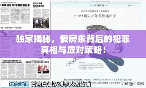 独家揭秘,假房东背后的犯罪真相与应对策略!