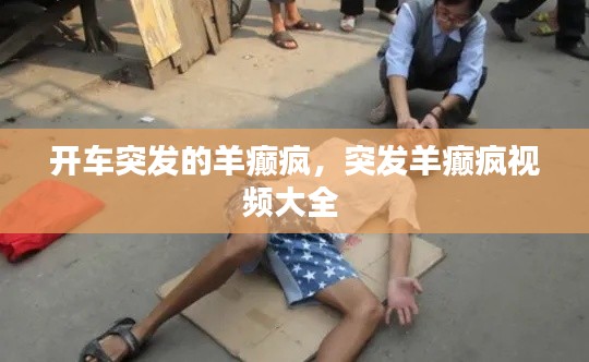 开车突发的羊癫疯,突发羊癫疯视频大全