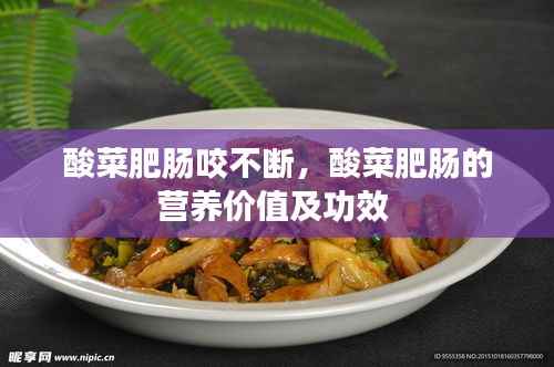 酸菜肥肠咬不断,酸菜肥肠的营养价值及功效