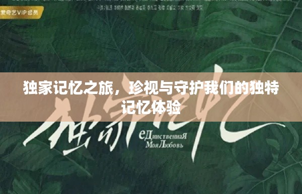 独家记忆之旅,珍视与守护我们的独特记忆体验