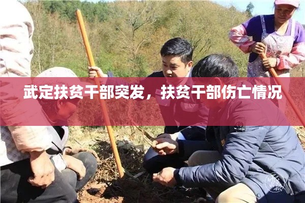 武定扶贫干部突发,扶贫干部伤亡情况