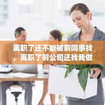 离职了还不断被前同事找,离职了前公司还找我做事