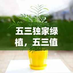 眉飞色舞 第3页