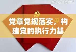 党章党规落实,构建党的执行力基石